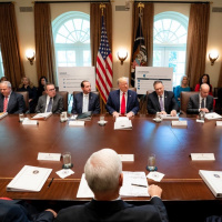 Individual vs Group Decisions