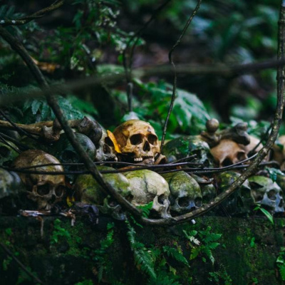 Cognitive Engineering