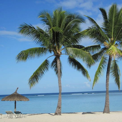 Cognitive Engineering