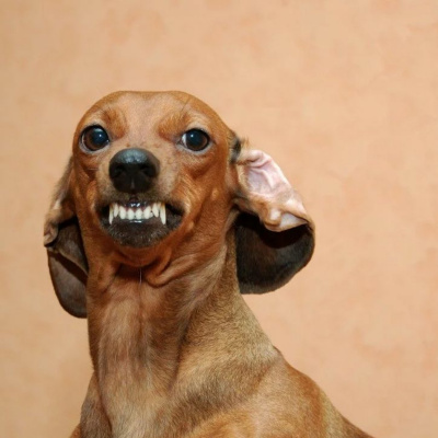 Cognitive Engineering