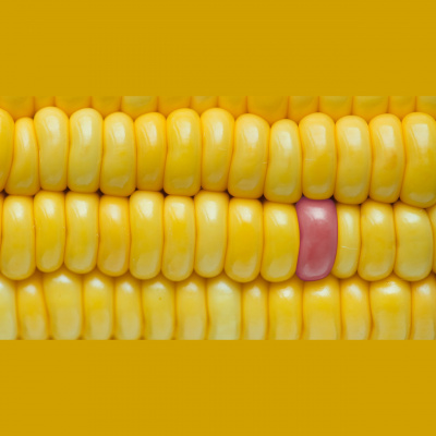 Preheated Baking Podcast