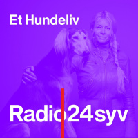 Et Hundeliv uge 8, 2015