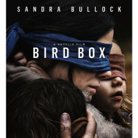 50. Netflix New Years: BanderBox/BirdSnatch