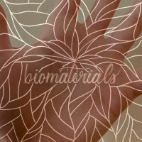 Dr. Roberto Andresen Eguiluz: Molecular Machines and Mechanisms