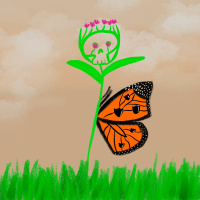 Dr. Noah Whiteman: Coevolution and Insects