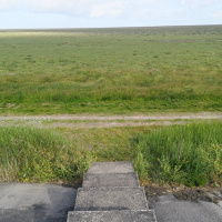 To stay the same we gotta change