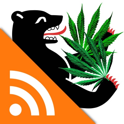 Die Stadt Und Das Gras | Radioeins