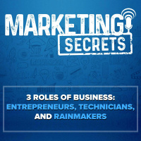 3 Roles of Business: Entrepreneurs, Technicians, and RainMakers