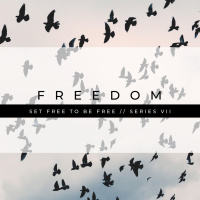 28th August // Freedom // Boundary Lines amp Contentedness