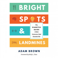 #168 BRIGHT SPOTS  LANDMINES by ADAM BROWN