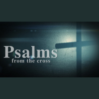 David, Peter, and the Psalms - Audio