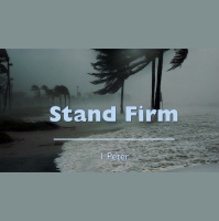 Get Grounded - Audio