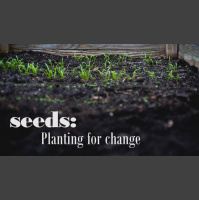 Let the Seed Grow - Audio