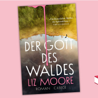 Liz Moore - Der Gott des Waldes