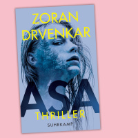 Zoran Drvenkar - Asa