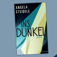 Angela Steidele: Ins Dunkel