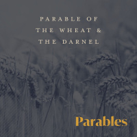 Parable of The Wheat  The Darnel