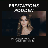 Stressen i arbetslivet -Matilda Schmachtl