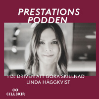 113 Linda Häggkvist: Driven att göra skillnad