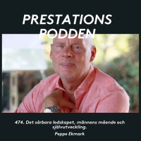 Det sårbara ledarskapet, männens mående och självutveckling - Peppe Ekmark