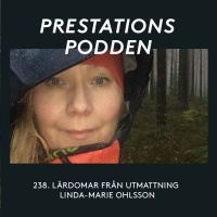 Lärdomar från utmattning - Linda-Marie Ohlsson