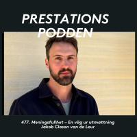 Meningsfullhet - En väg ut ur utmattning - Jakob Clason van de Leur