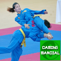 CAMINO MARCIAL nº96 - Gregory Godefroid (Vovinam Viet Vo Dao)