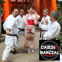 CAMINO MARCIAL nº 131 - VIAJE A JAPÓN