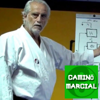 CAMINO MARCIAL nº62 - Andrés Congregado (I Ching)