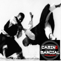 CAMINO MARCIAL nº 125 - Carlos García (Shorinji Kempo)