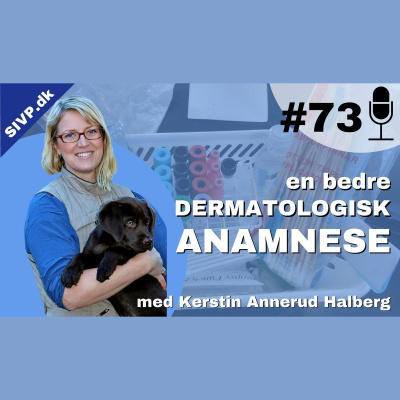 Succes I Veterinær Praksis Podcast - Sammen Om At Blive Bedre