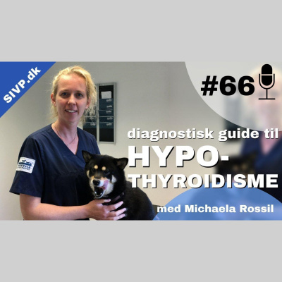 Succes I Veterinær Praksis Podcast - Sammen Om At Blive Bedre