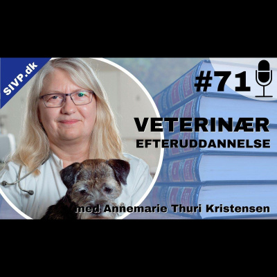 Succes I Veterinær Praksis Podcast - Sammen Om At Blive Bedre