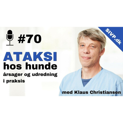 Succes I Veterinær Praksis Podcast - Sammen Om At Blive Bedre