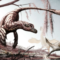 How Bird-Like Were Dinosaurs?
