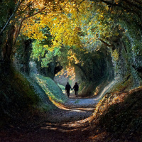 Do green spaces make us healthier?