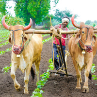 Who were the first farmers?