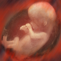 Can We Make an Artificial Womb?