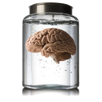 Can we grow a conscious brain?