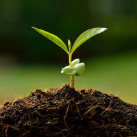 Is Soil The Secret to Slowing Climate Change?