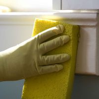 Could our household microbes help or harm us?