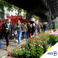 Wi snackt Platt: Wekenmarkt, Gala-Vörfreid un Leeswettbewarv