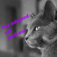 The Adopted Cat - Episode 10