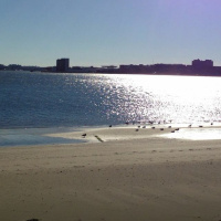 HOMILY- Love is the Way to Sainthood