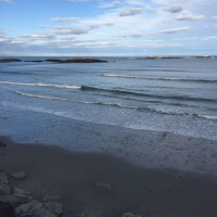 Homily: Humble  Kind