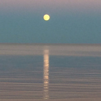 Homily- Who Do They Say We Are?