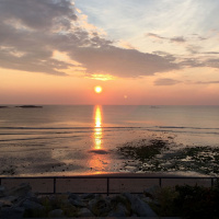 Homily: What Are Our Real Treasures?