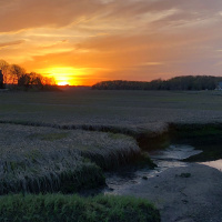 Homily- Do We Know The Shepherd? Forth Sunday of Easter