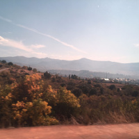 Homily - Hallelujah Anyway! Mercy and Forgiveness