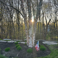 Homily- Easter Sunday 2025 @ Sunrise